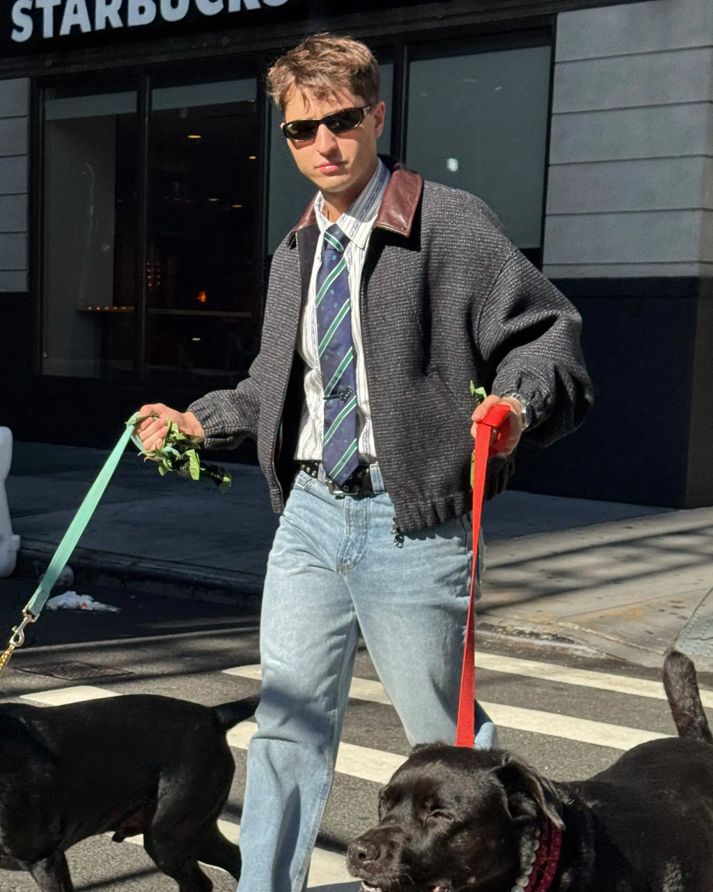 Chaqueta Bomber NY Wool