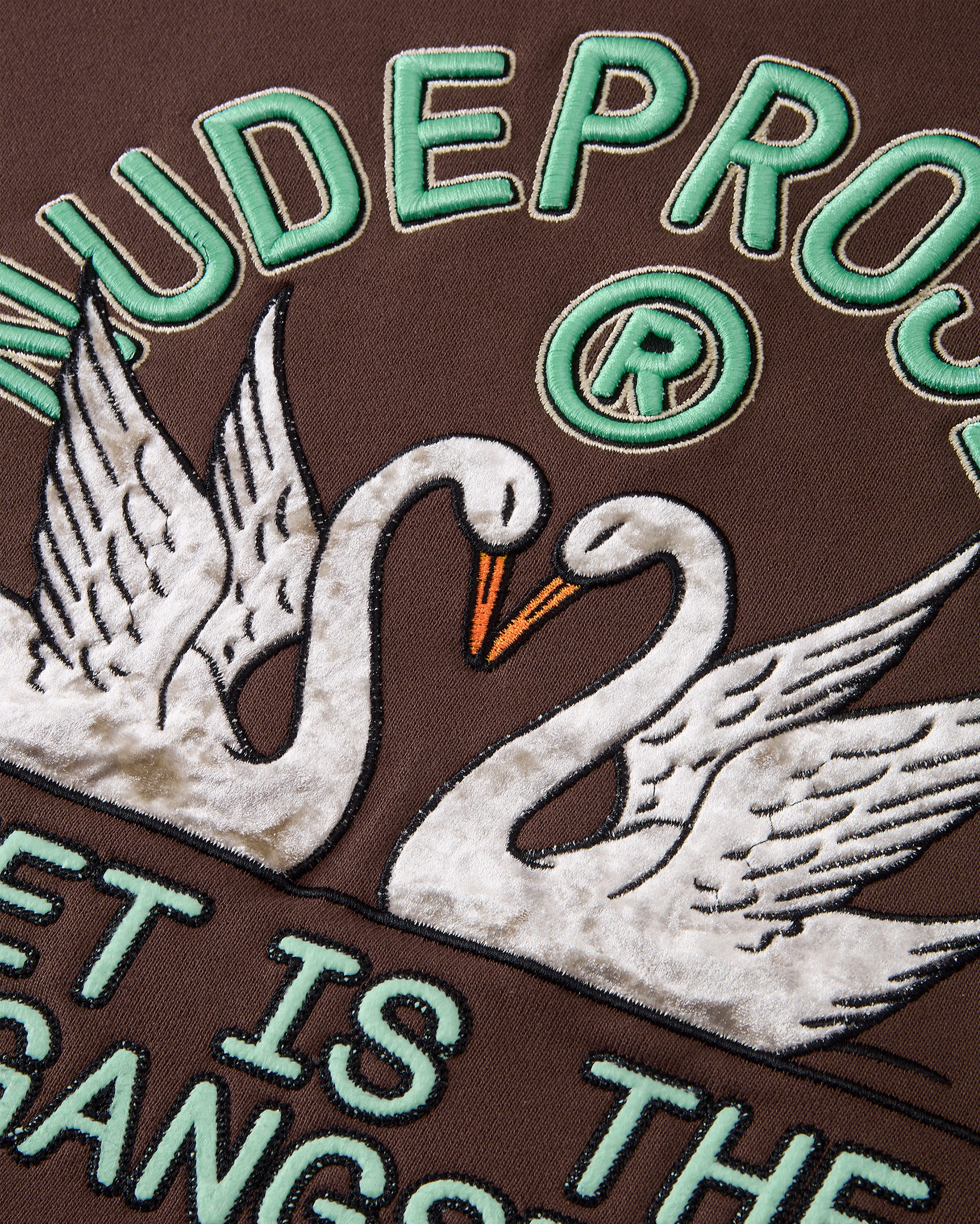 Sudadera Swans Marrón